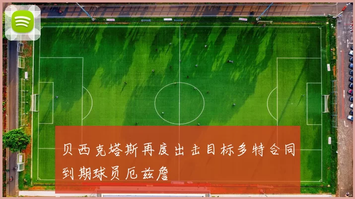 贝西克塔斯再度出击目标多特合同到期球员厄兹詹